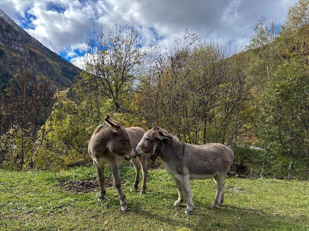 Cozyloge, Orelle & Les 3 Vallees Bagian luar foto